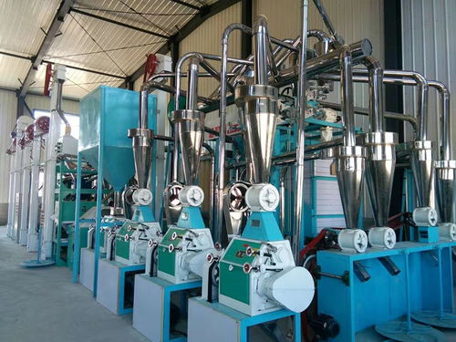 連云港市成套糧食磨面機多少錢臨沂大華機械廠